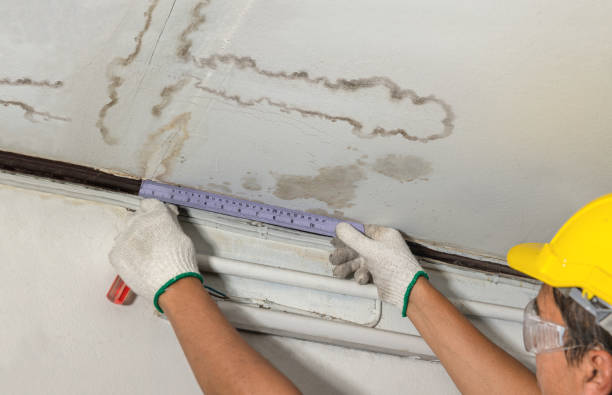 Reliable Structural Drying contractor in Beverly, NJ by Water Damage Irwin